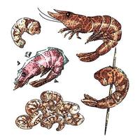 conjunto de frutos do mar camarão peixe desenho vetor desenhado à mão