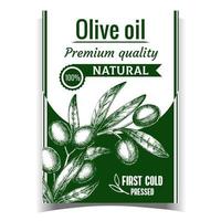 vetor de cartaz de ramo de oliveira de frescura natural