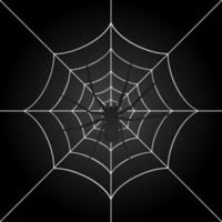 a aranha pesa em uma teia. uma ilustração vetorial vetor