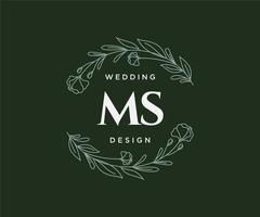 coleção de logotipos de monograma de casamento de letra ms, modelos modernos minimalistas e florais desenhados à mão para cartões de convite, salve a data, identidade elegante para restaurante, boutique, café em vetor