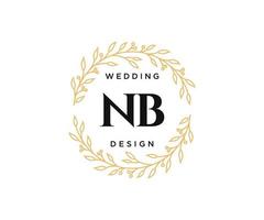 nb letras iniciais coleção de logotipos de monograma de casamento, modelos minimalistas e florais modernos desenhados à mão para cartões de convite, salve a data, identidade elegante para restaurante, boutique, café em vetor