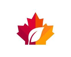 design de logotipo de folha de bordo. logotipo da folha canadense. folha de bordo vermelha com vetor de folha verde