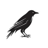corvo ícone mínimo de ilustração vetorial preto e branco. pássaro preto com penas e bico escuro. vetor