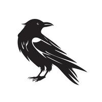 corvo ícone mínimo de ilustração vetorial preto e branco. pássaro preto com penas e bico escuro. vetor