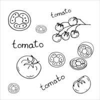 doodle tomates, fatias de tomate, cereja, letras. estilo preto e branco de arte de linha. ilustração vetorial. vetor