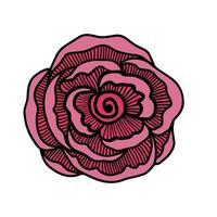 flor rosa fofa vetor