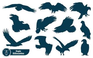 coleção de silhueta de águia pássaro animal em poses diferentes vetor