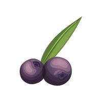 ilustração vetorial de desenhos animados de baga de açaí vetor