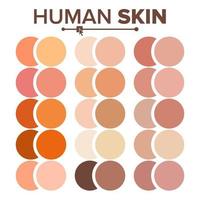 vetor humano de pele. gráfico de vários tons de corpo. paleta de textura realista. ilustração