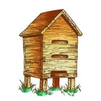 apiário de colmeia de madeira de cor no vetor de apicultura de grama