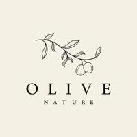 modelo de logotipo botânico desenhado à mão folha de oliveira natural e frutas .herbal, azeite, cosmético ou beleza. vetor