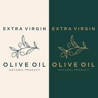 modelo de logotipo botânico desenhado à mão folha de oliveira natural e frutas .herbal, azeite, cosmético ou beleza. vetor