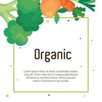 banner com frutas e legumes orgânicos, conceito de comida saudável vetor