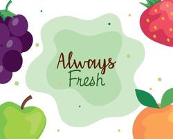 banner sempre fresco, com frutas saudáveis vetor