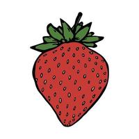 vector clipart de morango. ícone de baga desenhada de mão. ilustração de frutas. para impressão, web, design, decoração