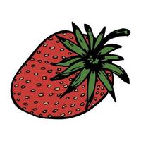 vector clipart de morango. ícone de baga desenhada de mão. ilustração de frutas. para impressão, web, design, decoração