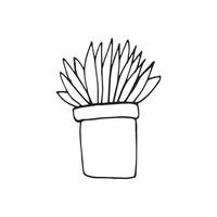 planta desenhada à mão única. Doodle ilustração vetorial em estilo escandinavo bonito. elemento para cartões, cartazes, adesivos e design sazonal. isolado no fundo branco vetor