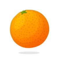 ilustração plana de toranja inteira vetor