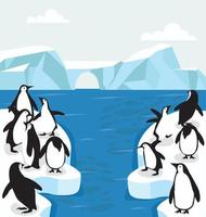 grupo de pinguins árticos do polo norte vetor