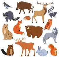 animais da floresta, guaxinim e raposa, urso e veado vetor