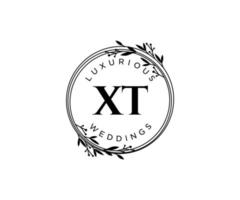 xt letras iniciais modelo de logotipos de monograma de casamento, modelos modernos minimalistas e florais desenhados à mão para cartões de convite, salve a data, identidade elegante. vetor