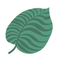 folha tropical da planta monstera, folhagem exótica vetor