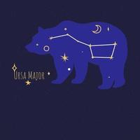 constelação da ursa maior, estrelas no céu noturno vetor