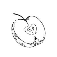 vetor desenhado à mão de esboço de pedaço de maçã