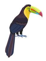 pássaro exótico com bico grande, animal aviário tropical vetor