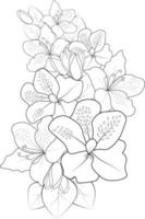 mão desenhada linda azálea rani sempre verde, buquês de flores de desenho floral, ilustração vetorial, página para colorir para adultos. vetor