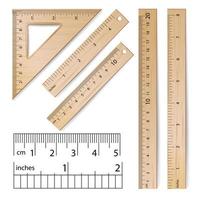 vetor de governantes da escola. régua imperial métrica de madeira clássica realista. centímetro e polegada. equipamento de ferramentas de medida isolado na ilustração branca