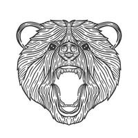 ilustração de arte de linha de cabeça de urso vetor