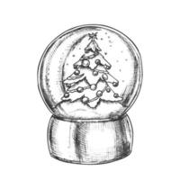 globo de neve com vetor de lembrança de abeto decorado