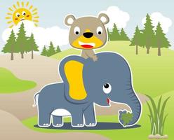 urso fofo andando em elefante na floresta, ilustração de desenho vetorial vetor