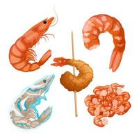 camarão peixe frutos do mar conjunto ilustração vetorial de desenhos animados vetor