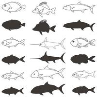 coleção de vetores grátis de peixes em vários tipos 2