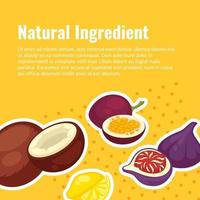 ingredientes naturais para uma dieta saudável e estilo de vida vetor