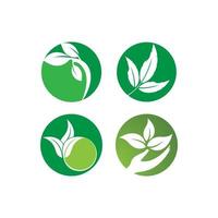 logotipo da folha verde vetor