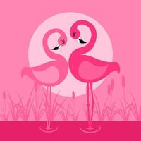 amor de um flamingo no lago. uma ilustração vetorial vetor