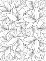 bela ilustração de padrão floral botânico para colorir livro ou página, lírios, com lilium lili flor esboço arte buquê desenhado à mão de floral isolado no fundo branco. vetor