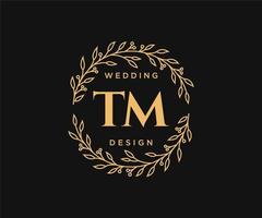 tm letras iniciais coleção de logotipos de monograma de casamento, modelos modernos minimalistas e florais desenhados à mão para cartões de convite, salve a data, identidade elegante para restaurante, boutique, café em vetor