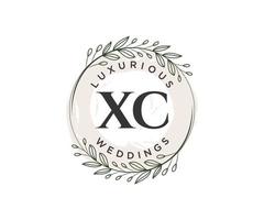 xc letras iniciais modelo de logotipos de monograma de casamento, modelos minimalistas e florais modernos desenhados à mão para cartões de convite, salve a data, identidade elegante. vetor