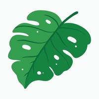 folha de monstera em ilustração de desenho animado para elemento de design tropical vetor