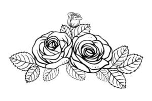 conjunto de ilustrações desenhadas à mão de rosas buquê. ornamento de design vintage e romântico vetor
