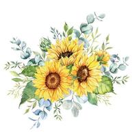 buquê de girassóis em aquarela, buquês de girassóis pintados à mão, arranjo de flores de girassol. elementos de clipart de convite de casamento. aquarela floral. desenho botânico. fundo branco vetor