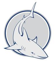 design de ilustração de tubarão vetor