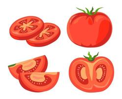 conjunto de vetores de vegetais fatiados de tomate maduro orgânico