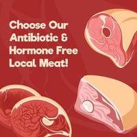 escolha nossa carne local livre de antibióticos e hormônios vetor