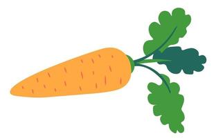 vegetal de cenoura com folhas, vegetariano nutritivo vetor