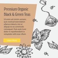 banner promocional de chá preto e verde orgânico premium vetor